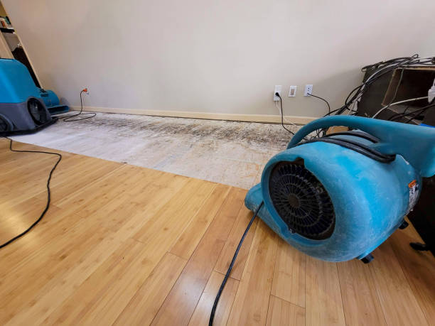Professional Water Damage Repair technician working in Lakeside, TX